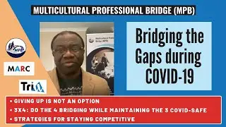 Multicultural Professional Bridge: Bridging Employment & Entrepreneurship Gaps during COVID-19