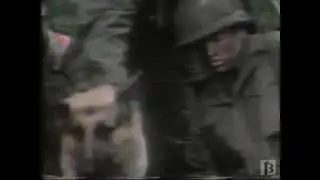 Chips The War Dog Bumper 1995