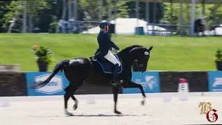 Santiana