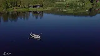 rotur p&aring; r&oslash;rvatnet_4k
