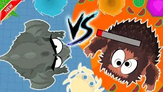 Mope.io // 1v1 REDEMPTION MOD IN MOPE