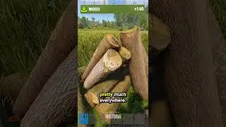 Legacy Rust wood piles are coming back!
