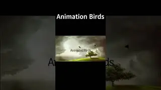 How To Make Animation Bird Flying Css 