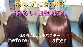 和漢彩染vol.1【自由が丘美容室13's hair】ワカンサイセン　じゅうさんずへあー