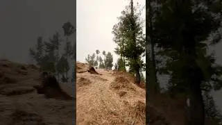 SubhanAllah Live Snowfall 🌨️🌲 | Forest View | 4K #shorts
