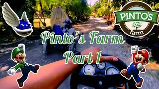 Things to do in Miami | Pinto's Farm | Part 1