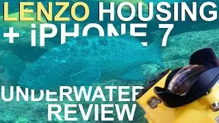 iPhone 7 underwater review with Lenzo housing