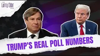 Trump's REAL Poll Numbers!