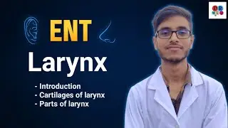 Anatomy of larynx | Laryngeal cartilages | Muscles membranes spaces | ENT Bangla lecture