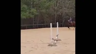 Jami and Joey - first uprights 