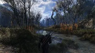 Witcher3 4k RTX 3090 - RAYTRACING| BEYOND ALL LIMITS| 50+Mods | Immersive LM