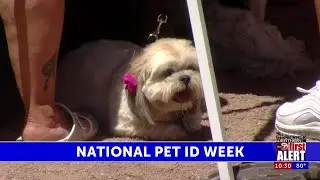 El Paso Animal Services offers free microchips and pet ID tags to the community