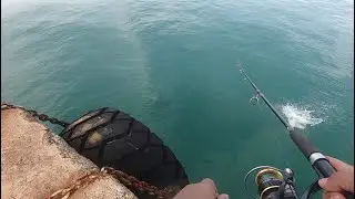 Teknik Jigging Spoon Strike Bertubi-tubi Ikan Talang-Talang MONSTER | Mancing Liar Gila