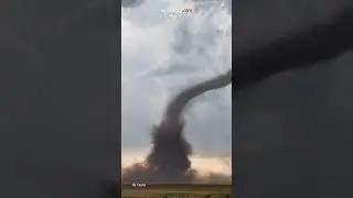 Apa Beda Puting Beliung dan Tornado?