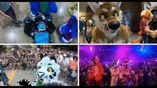 Nightdragon's Anthrocon 2019 Con Video