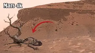 Shocking New 360&deg; Footage From NASA's Mars Perseverance Rover Explore: Mars in 4k Sol 1542