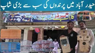 Bird shop | Biggest Bird shop in Hyderabad | birds, cages, bird accessories | panhwar bird lover