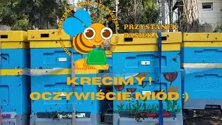 Kręcimy miód i robimy odkłady ze starą matką.