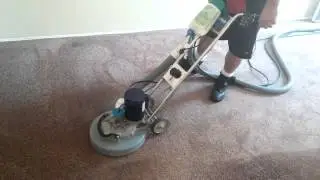 San Diego Carpet Cleaner