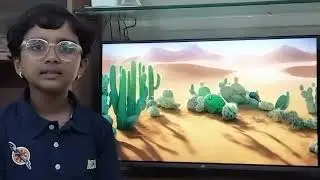 Discovering the Sahara Desert | Andrea Beryl James | World&rsquo;s Largest Hot Desert Facts