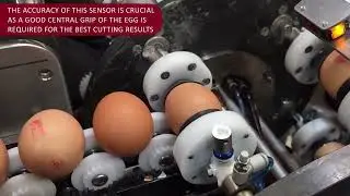 Sapcote Engineering Robotic Egg Cutter - Simmatic Deliver the Magic Vacuum