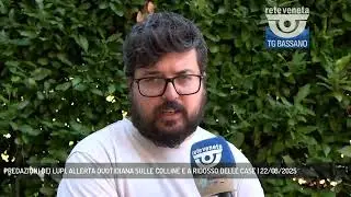PREDAZIONI DEI LUPI, ALLERTA QUOTIDIANA SULLE COLLINE E A RIDOSSO DELLE CASE | 22/08/2025