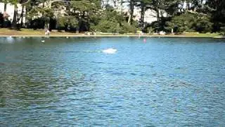 R/C Model Boat: Scale Bertram 31 powered by Astro Flight Brushless 60 electric motor