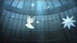 Stella Artois Dove