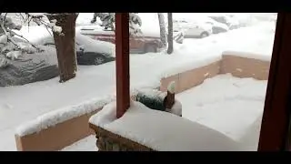 Crazy snow in Prescott, AZ.  january 25th 2021.
