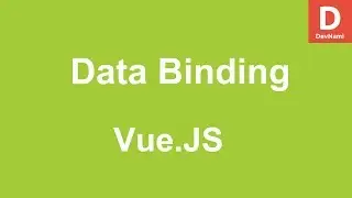 Vue.Js How to Data Binding