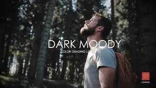 Moody dark Presets Ri  Adobe premiere pro color grading presets
