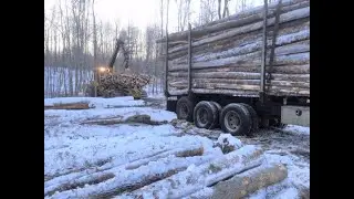 Timber Tax Workshop with Jim Norris
