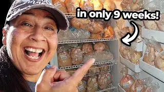 Food Security: Filling Our Freezer with Pasture Raised Chicken in Only 9 Weeks