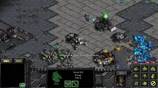 Playing Start Craft : Brood War in 2024  #starcraft #broodwar