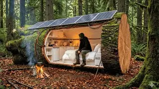 Building a Mini Forest House (ASMR) | A Man Creates a Tiny Home Inside a Tree Trunk Alone