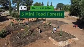 5 Mini Food Forests - Before & After