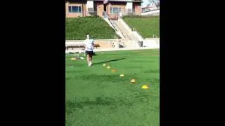 Short Cone Shuttle (sprint, back pedal)