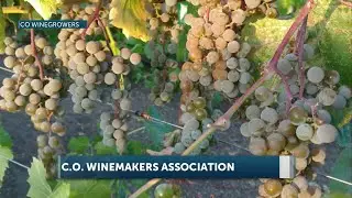 Central Oregon vintners apply for federal recognition as a distinct wine-growing region