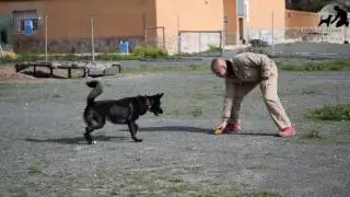 Erkman Sin and Second Chance k9