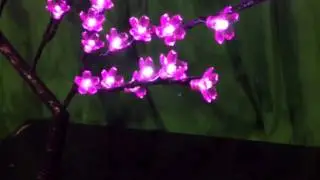 Light Up Flower Blossom Tree at Sureglow.com!