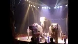Joy Gartner à Montauban au Cirque Franco-Italien  Sa 25/10/2014