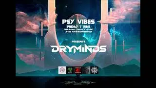 DRYMINDS //  for Psy Vibes