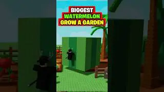 Biggest Watermelon in Grow a Garden Roblox 😱 #roblox #robloxshorts #growagarden