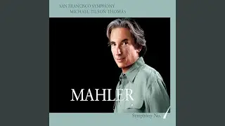 Symphony No. 1 in D Major: IV. Stürmisch bewegt