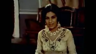 sultan pakistani punjabi film