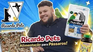 Papa, germinados/demolhado e suplementação que usamos!