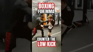 Ilia Topuria Inspired Combo - Boxing for MMA #ufc #lowkick #counter #howto #tutorial #gym #muaythai