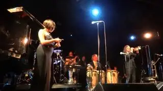 Pink Martini U Plavu Zoru Live