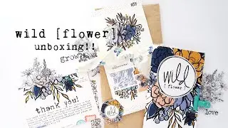 Illustrated Faith Wildlfower Devotional Kit | Unboxing Video