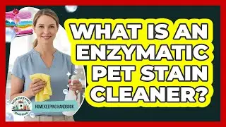 What Is An Enzymatic Pet Stain Cleaner?
